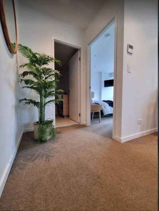Broadbeach Stunner Modern And Central 골드코스트 외부 사진